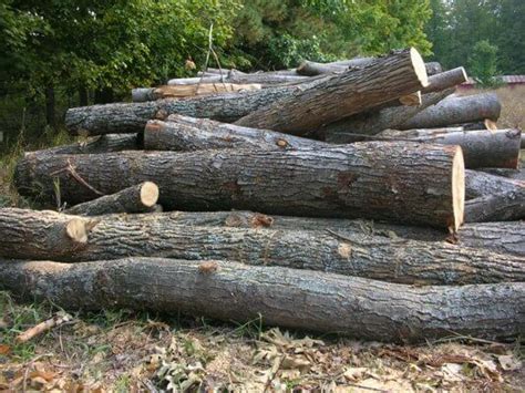 firewood suppliers in my area